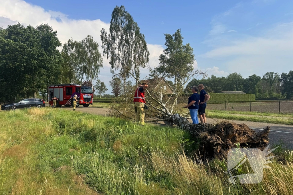 Boom blokkeert weg na storm