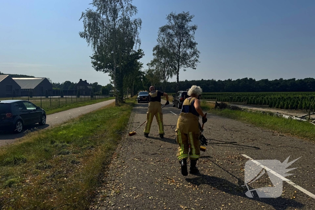 Boom blokkeert weg na storm