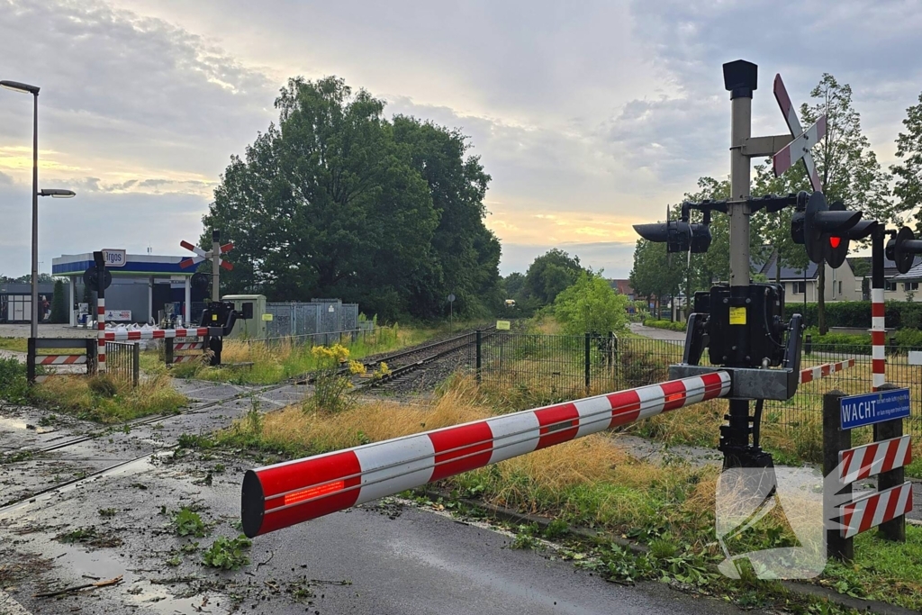 Trein stuit op boom op spoor