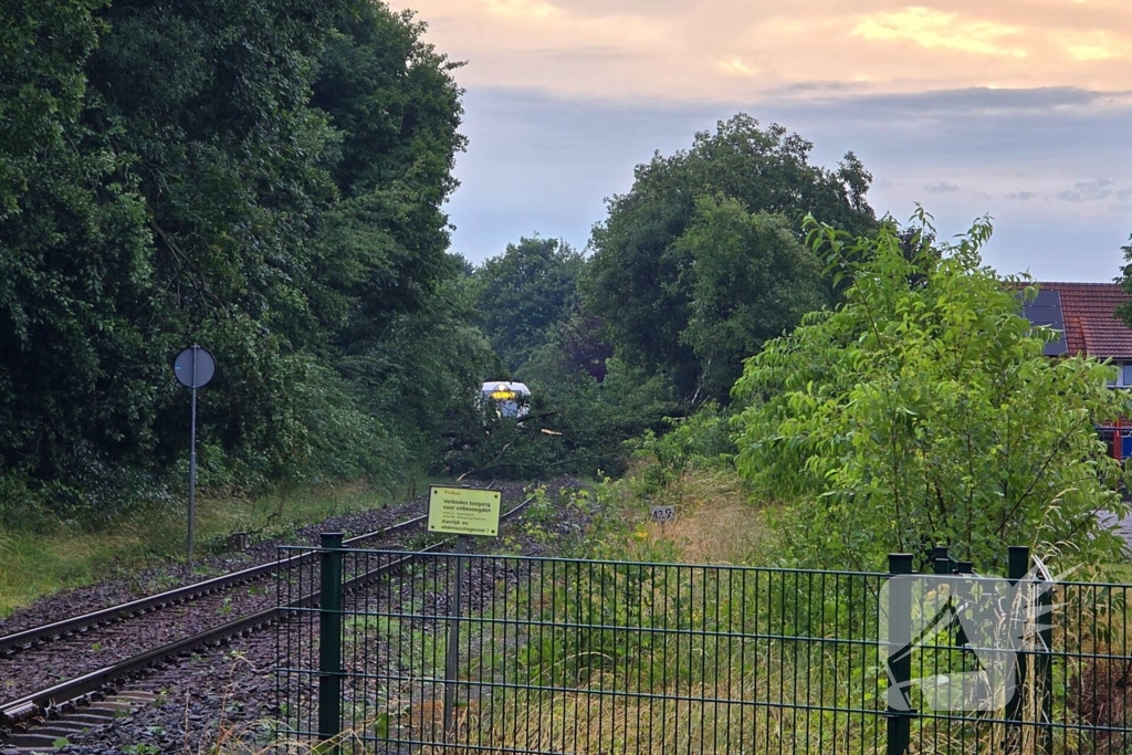 Trein stuit op boom op spoor