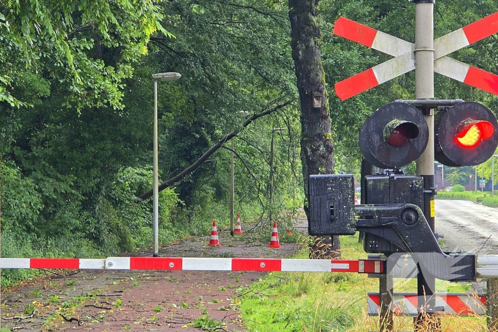 Trein stuit op boom op spoor