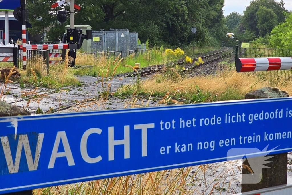 Trein stuit op boom op spoor