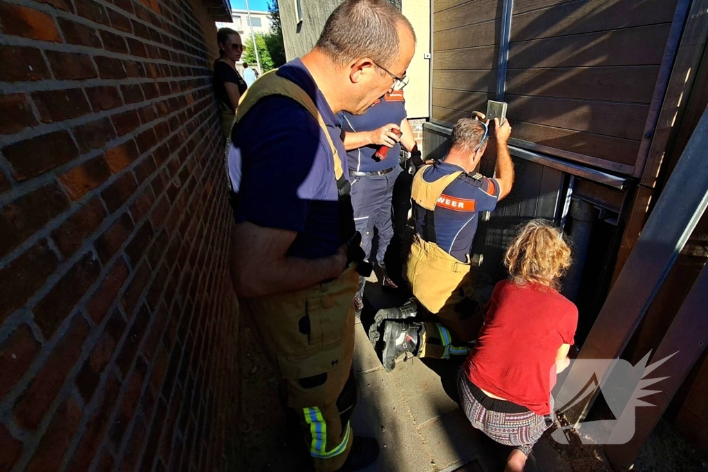 Brandweer bevrijdt kat
