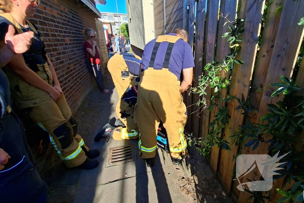 Brandweer bevrijdt kat