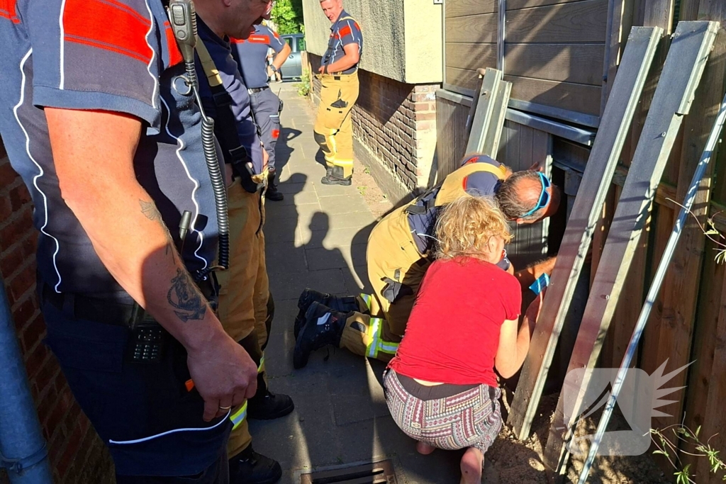 Brandweer bevrijdt kat