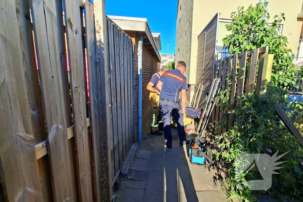 Brandweer bevrijdt kat