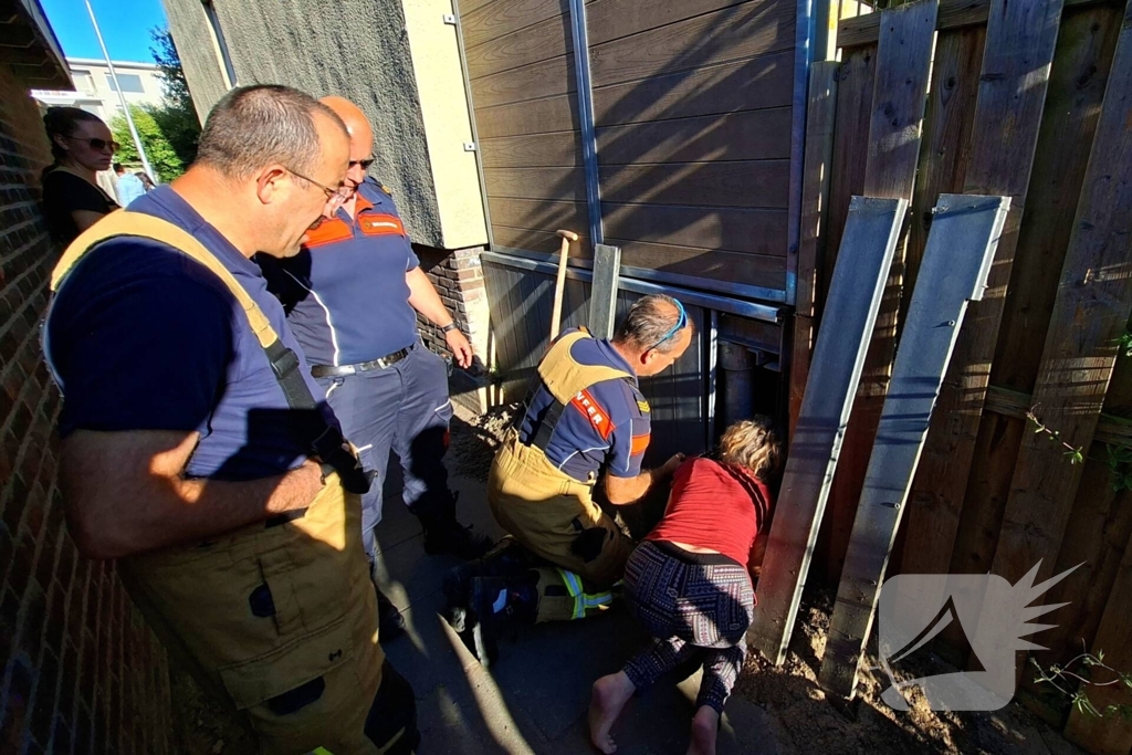 Brandweer bevrijdt kat