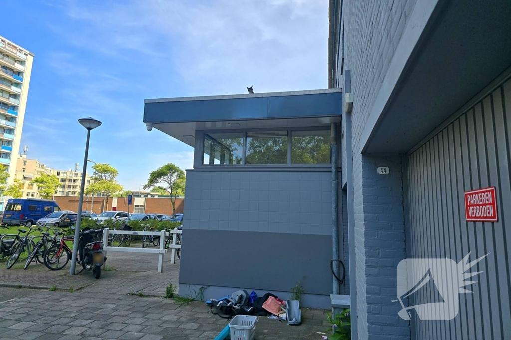 Spannend avontuur voor kat