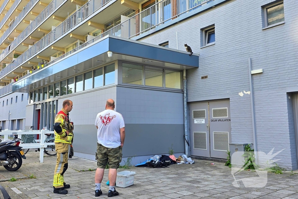 Spannend avontuur voor kat