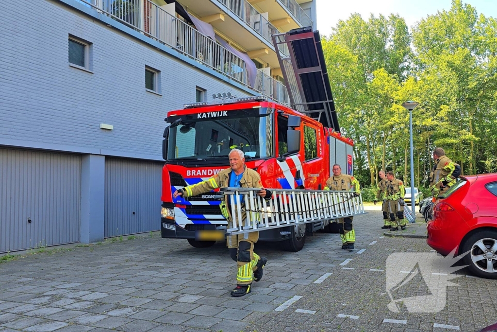 Spannend avontuur voor kat