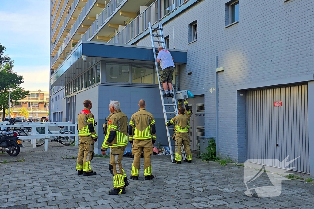 Spannend avontuur voor kat