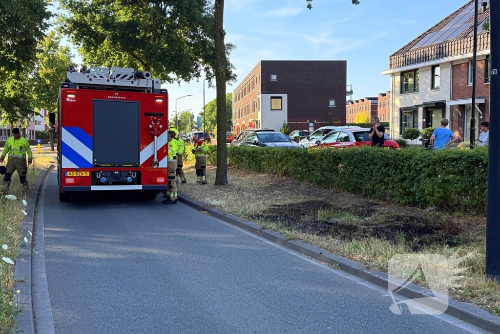Brand in berm en struikgewas onder controle