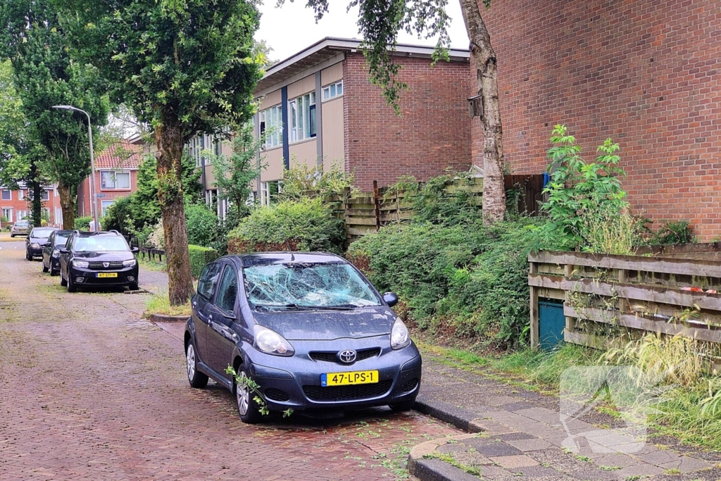 Gewonde na steekincident