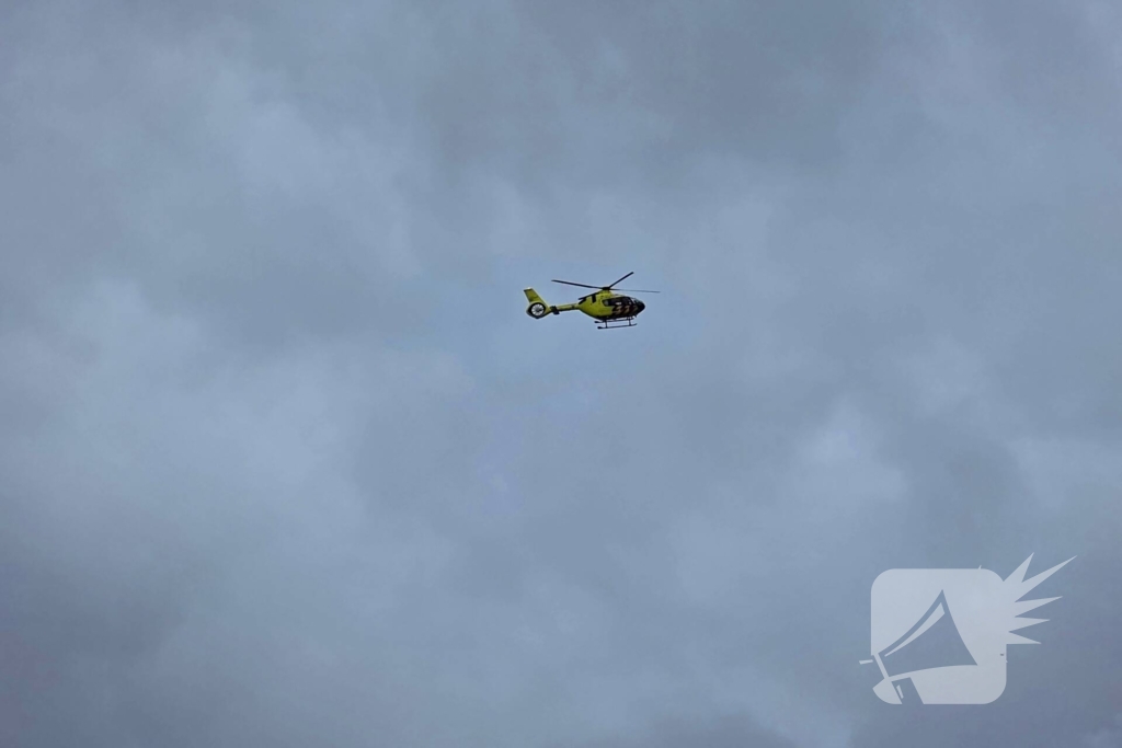 Bestuurder zwaargewond na aanrijding met boom