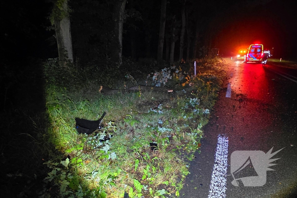 Automobiliste botst op afgebroken tak