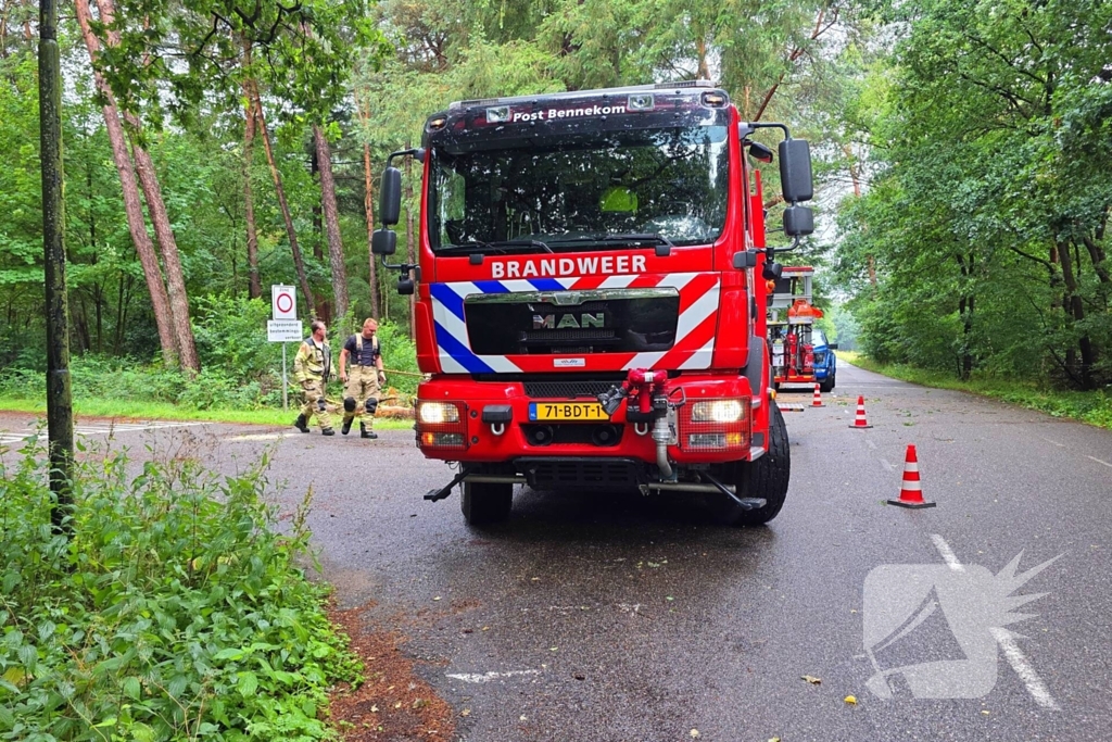Boom veroorzaakt hinder na storm