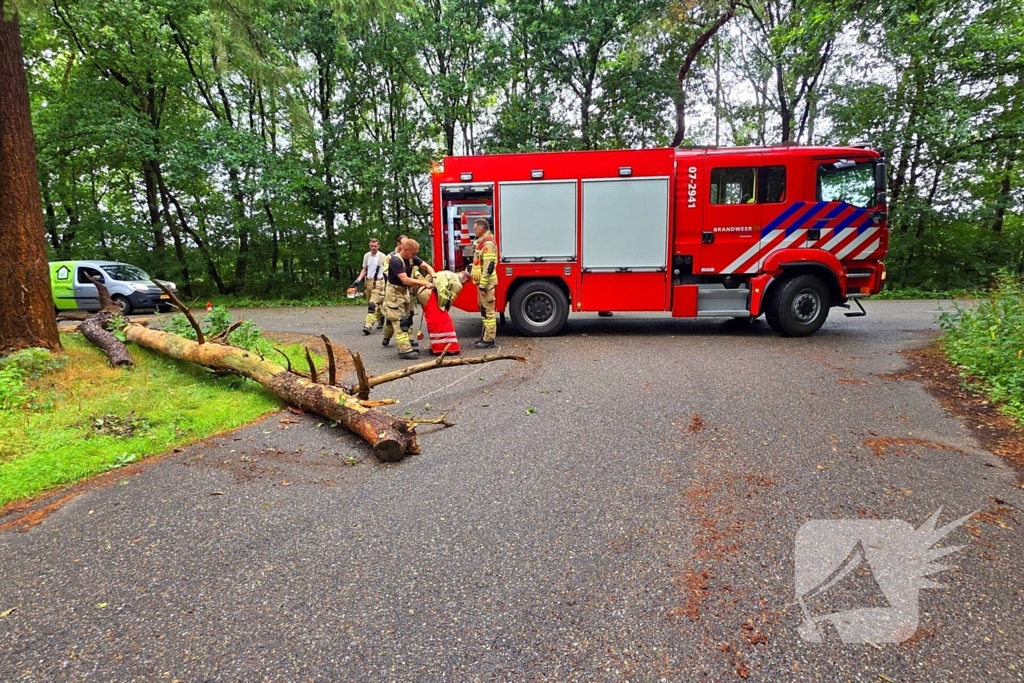 Boom veroorzaakt hinder na storm