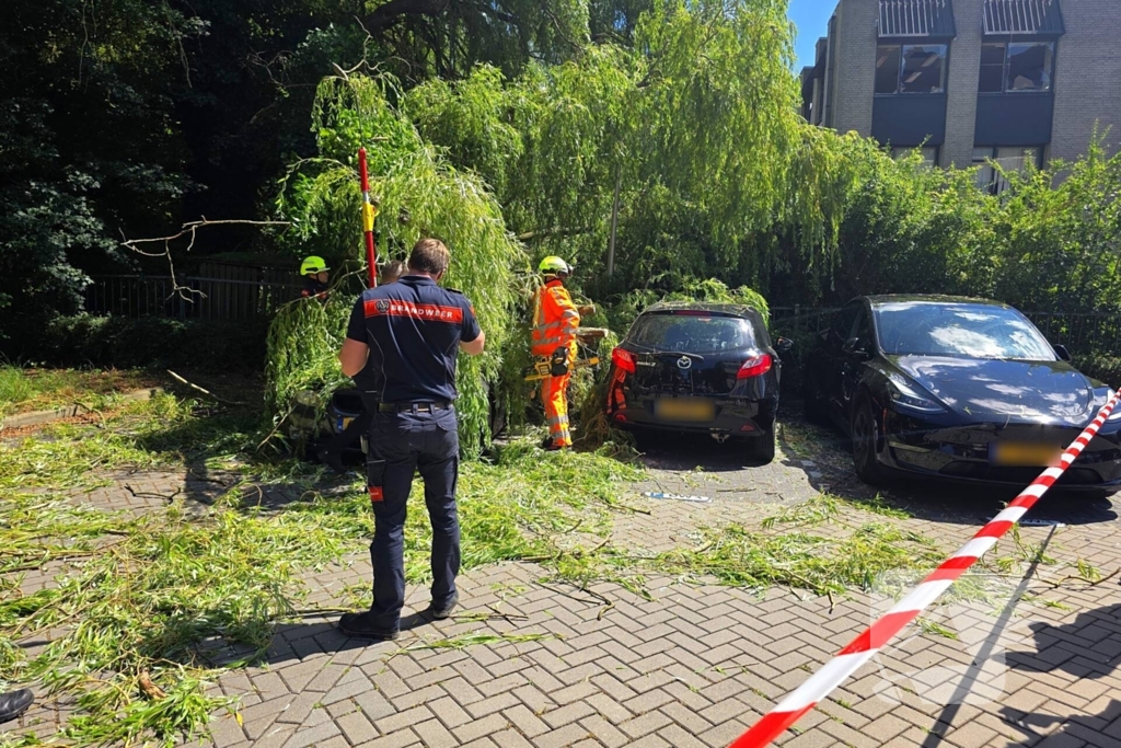Drie auto's beschadigd door omvallende boom