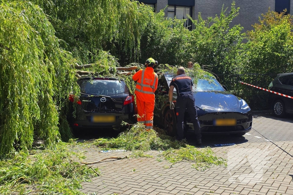 Drie auto's beschadigd door omvallende boom