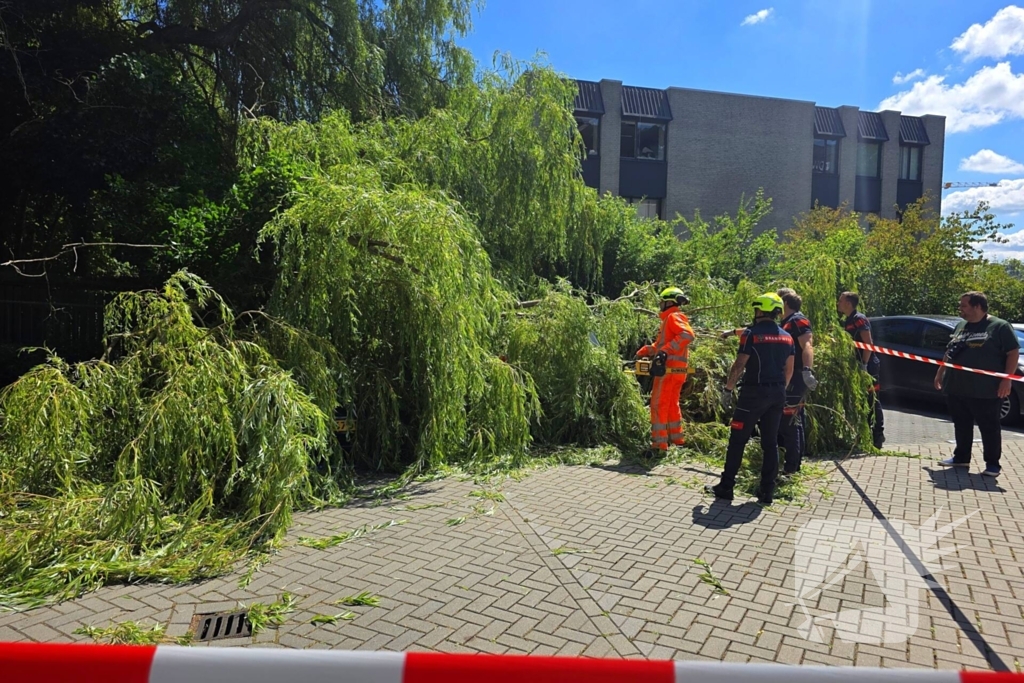 Drie auto's beschadigd door omvallende boom