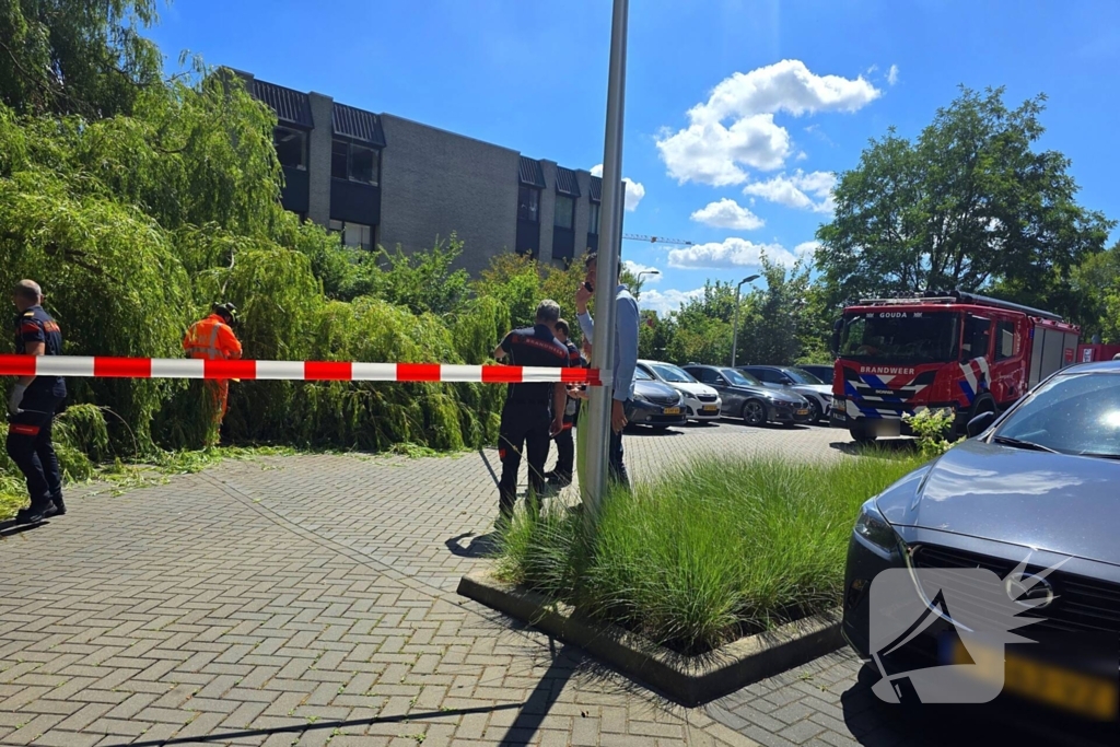 Drie auto's beschadigd door omvallende boom