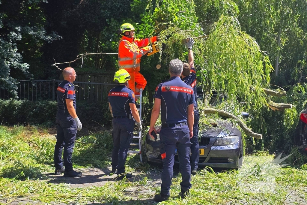 Drie auto's beschadigd door omvallende boom