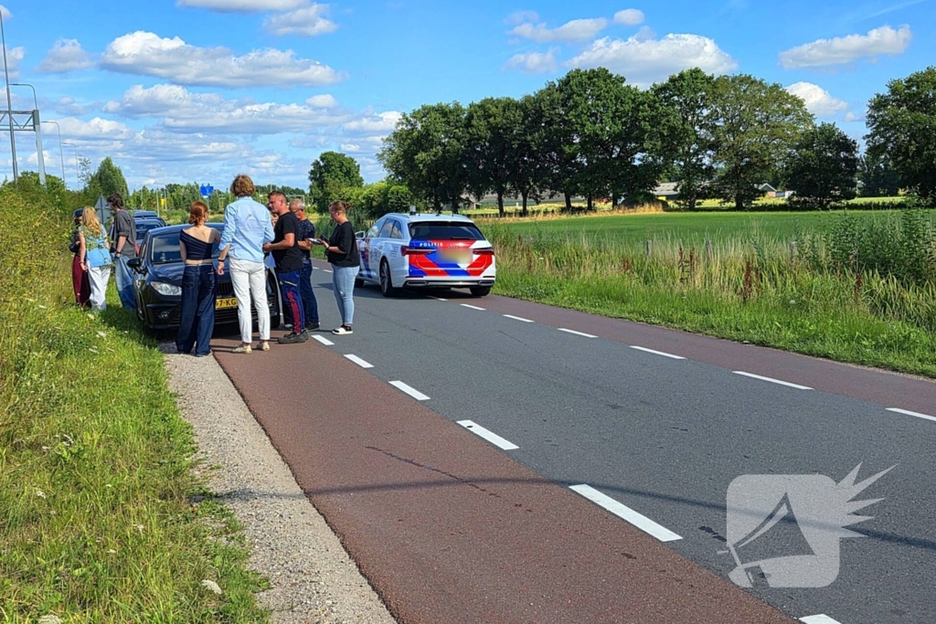 Hond aangereden door automobilist op snelweg