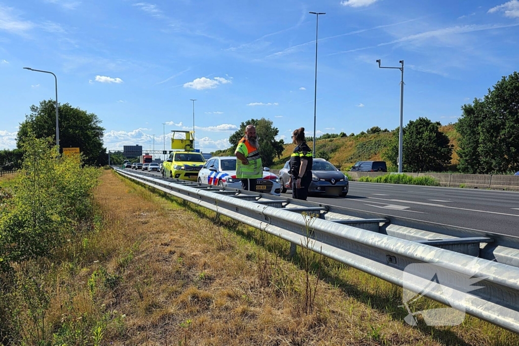 Hond aangereden door automobilist op snelweg