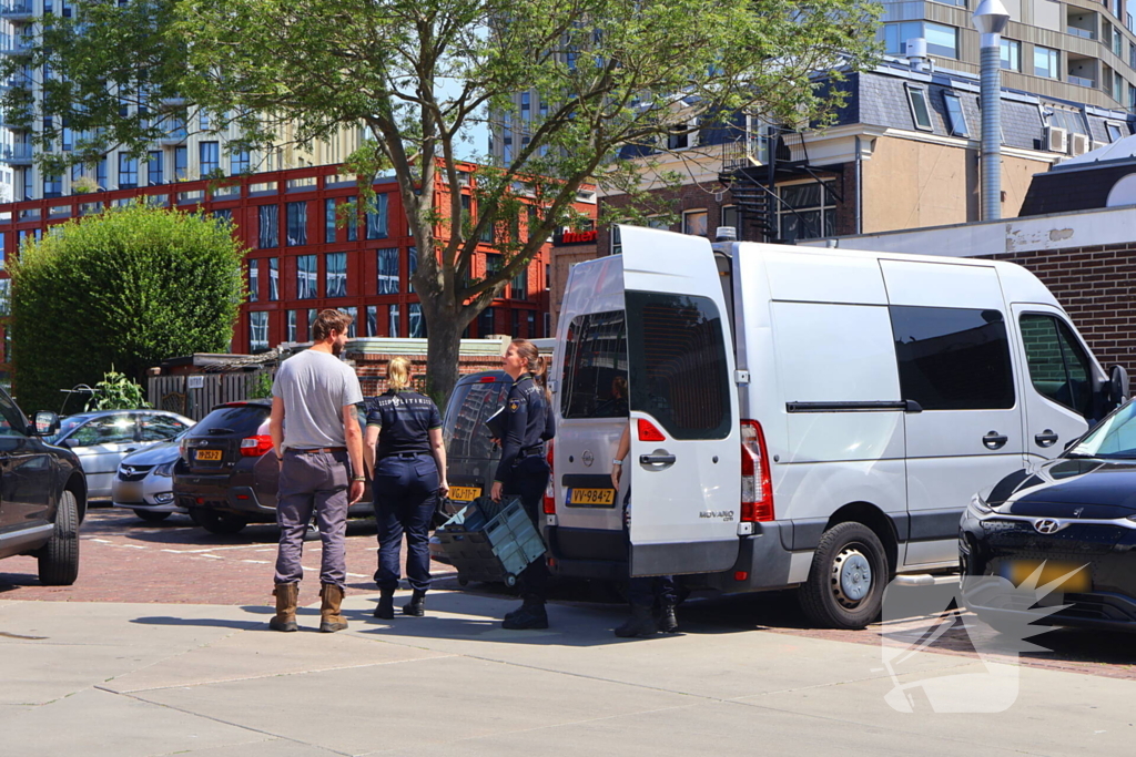 Persoon overleden na val van hijskraan