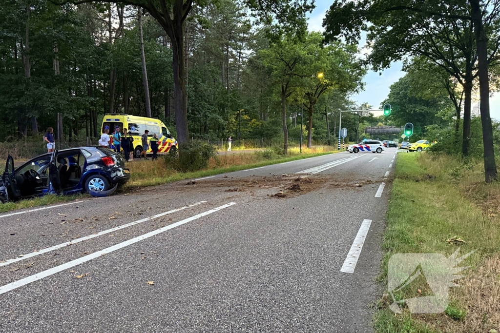 Auto verliest controle en botst in berm