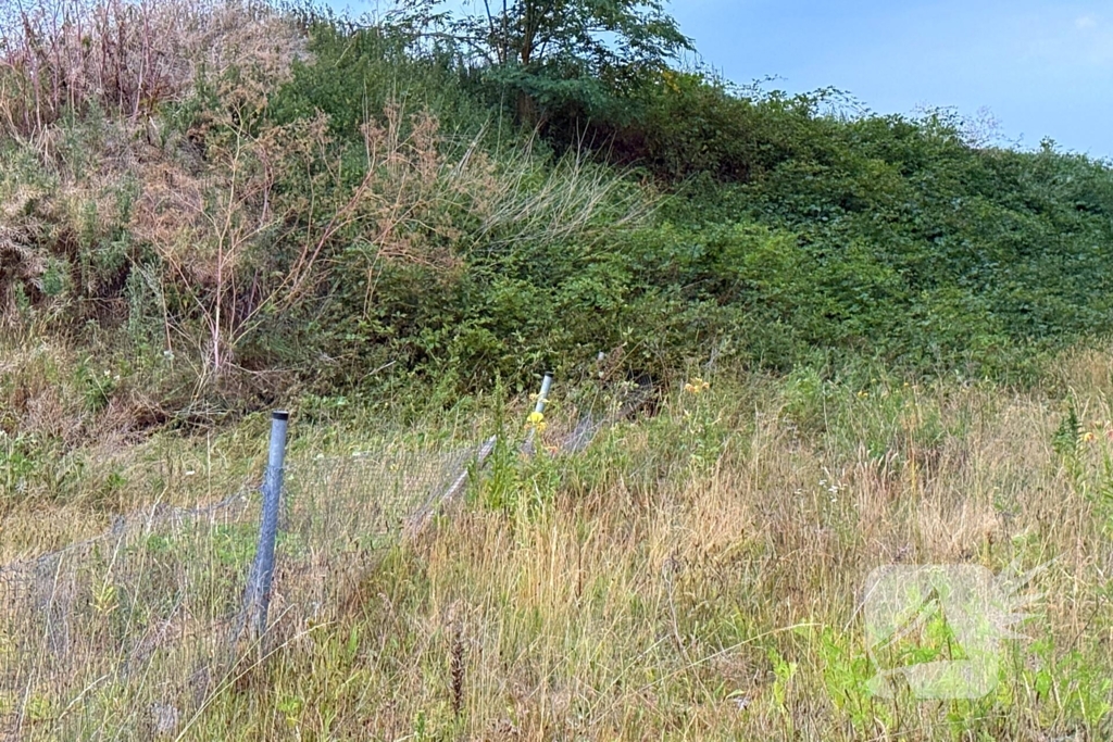 Auto verliest controle en botst in berm