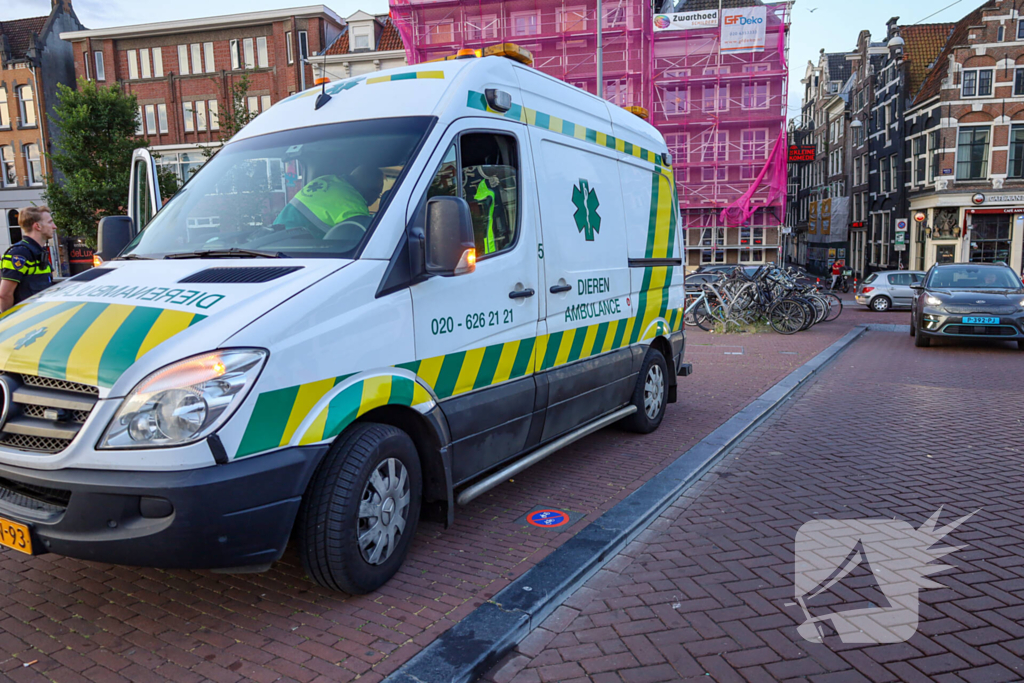 Explosie in koffieshop leidt tot brand