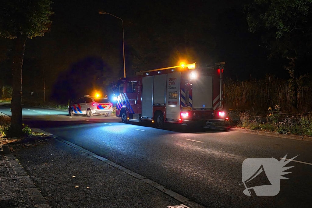 Vuurwerk veroorzaakt brand in berm