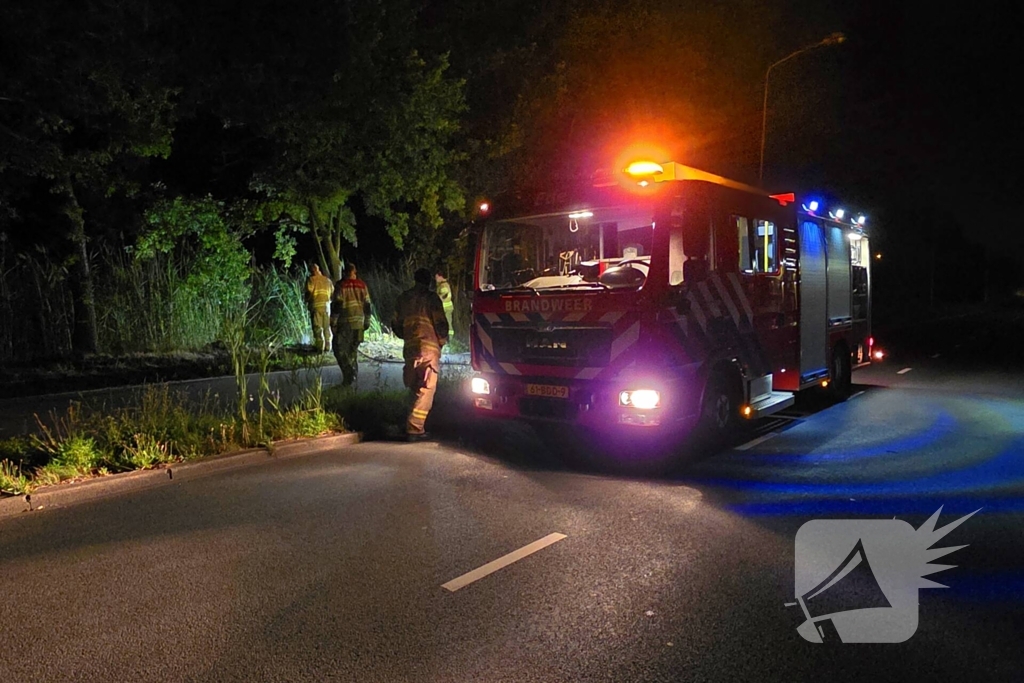 Vuurwerk veroorzaakt brand in berm