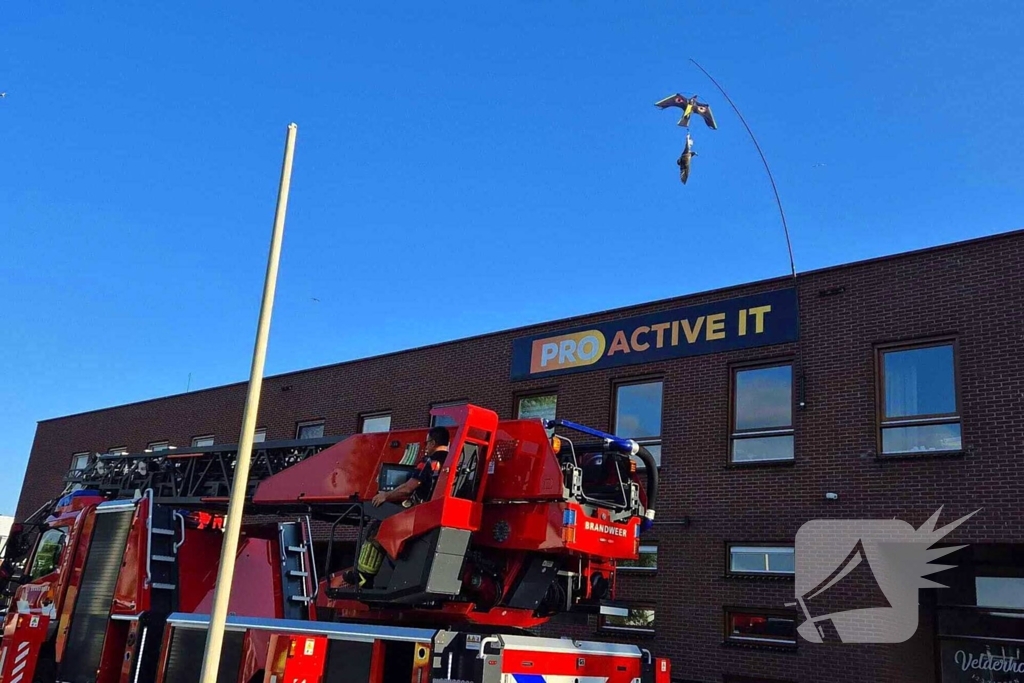 Brandweer bevrijdt vogel uit vlieger