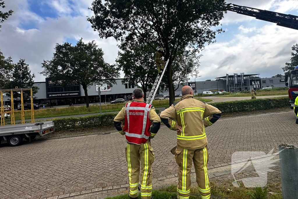 Dier in nood gered met ladderwagen