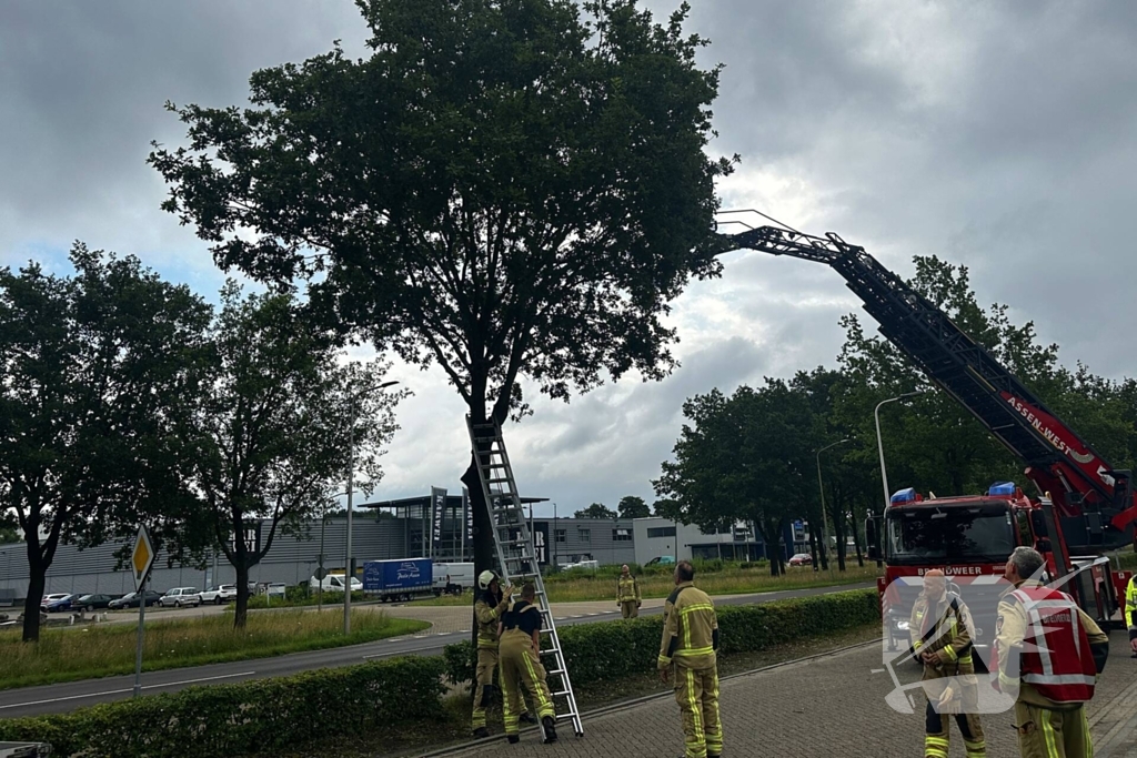 Dier in nood gered met ladderwagen