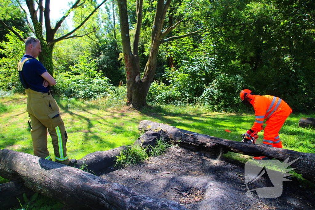 Brandweer blust boomstam na oversteek