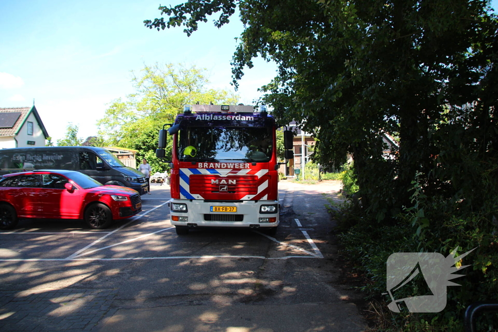 Brandweer blust boomstam na oversteek