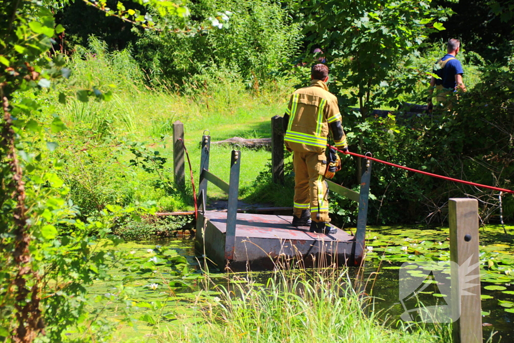 Brandweer blust boomstam na oversteek