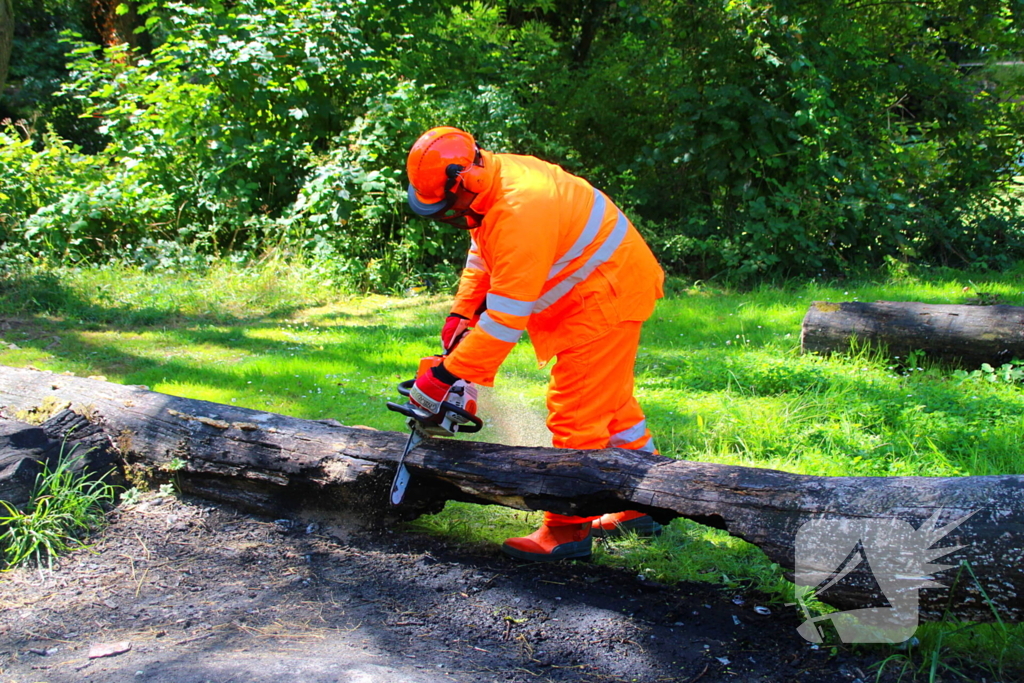 Brandweer blust boomstam na oversteek