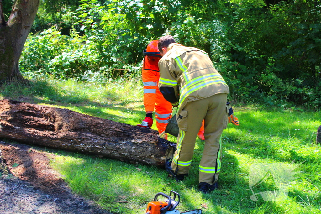 Brandweer blust boomstam na oversteek