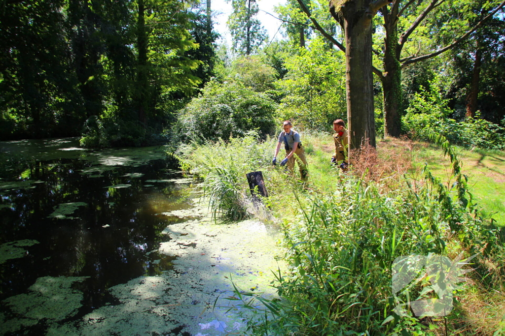 Brandweer blust boomstam na oversteek