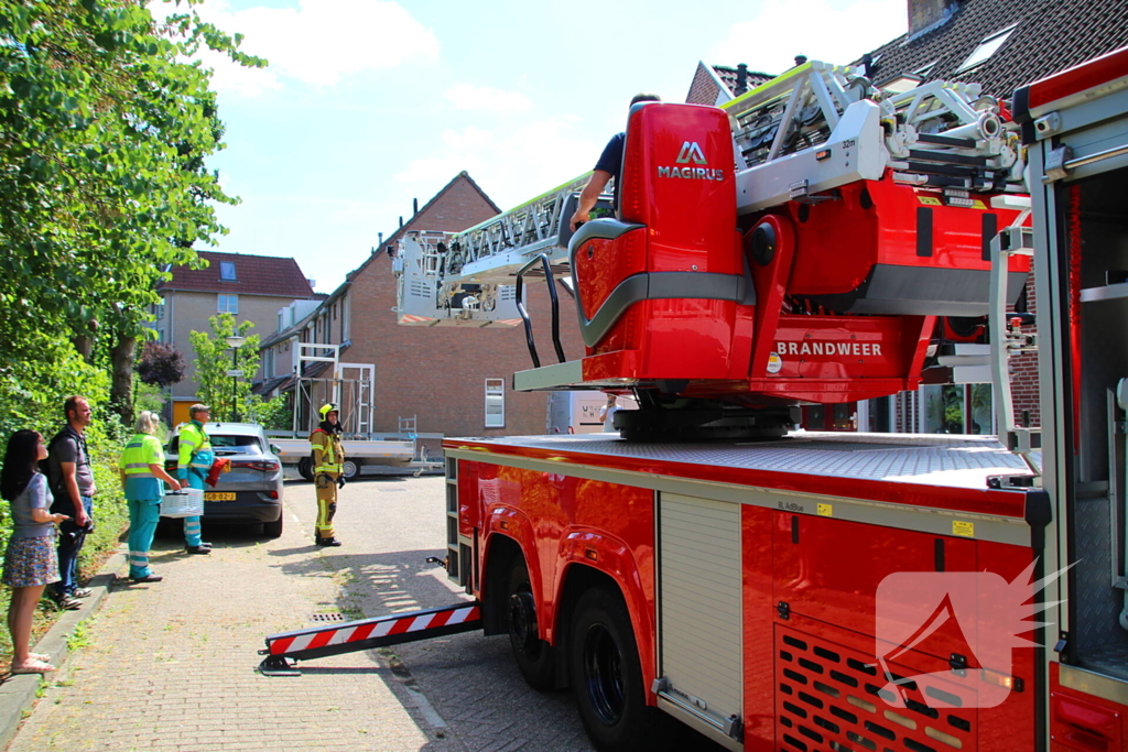 Dierenambulance in actie voor vastzittende kat