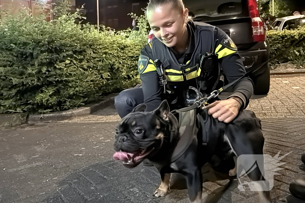 Brand na mogelijke explosie in nachtelijke uren