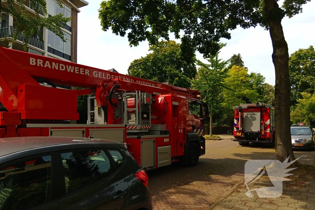Brandweer meermaals ingezet voor kat in boom