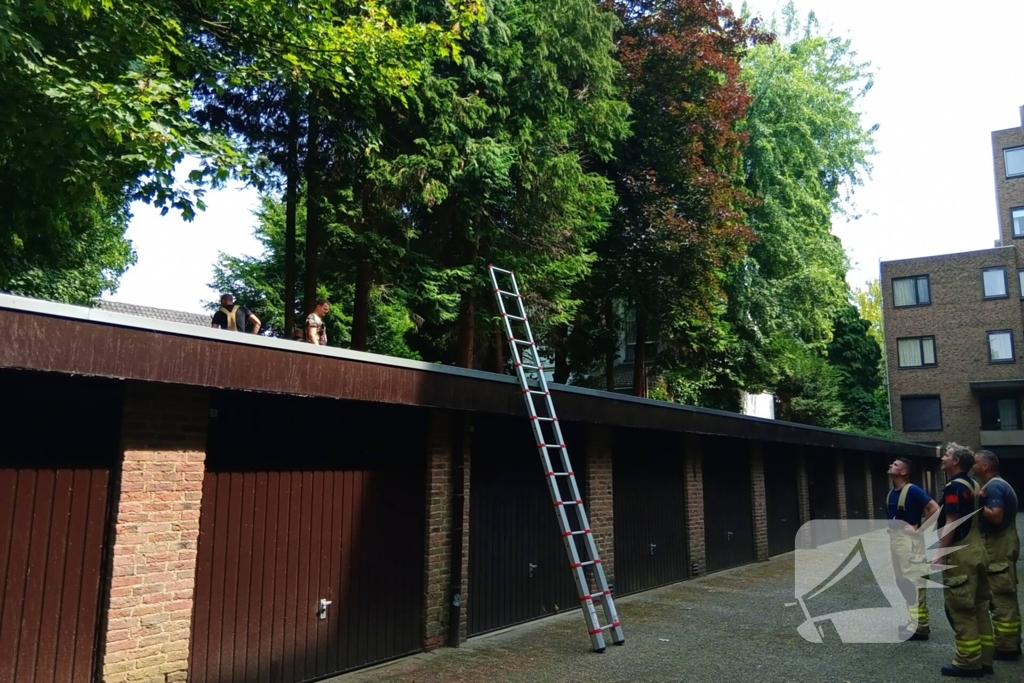 Brandweer meermaals ingezet voor kat in boom