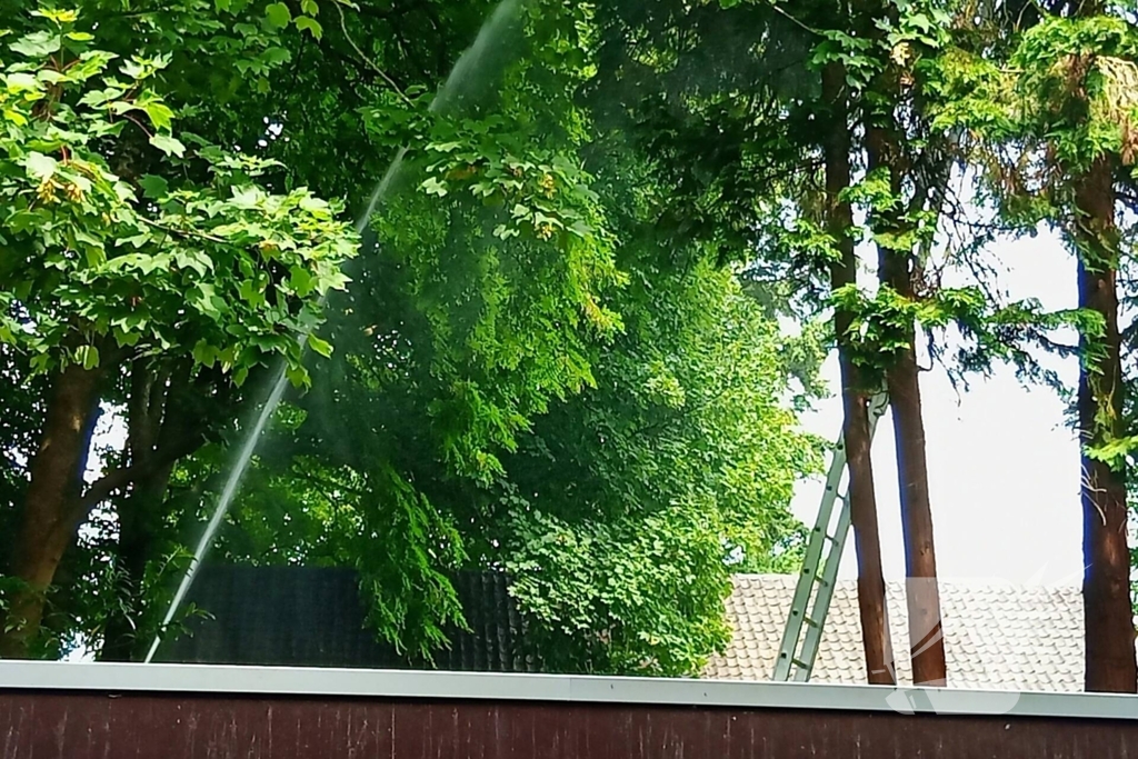 Brandweer meermaals ingezet voor kat in boom