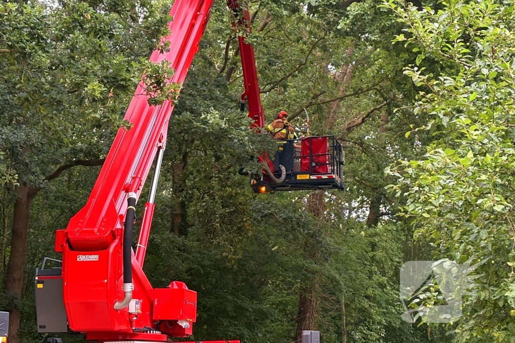 Hoogwerker inzet bij stormschade