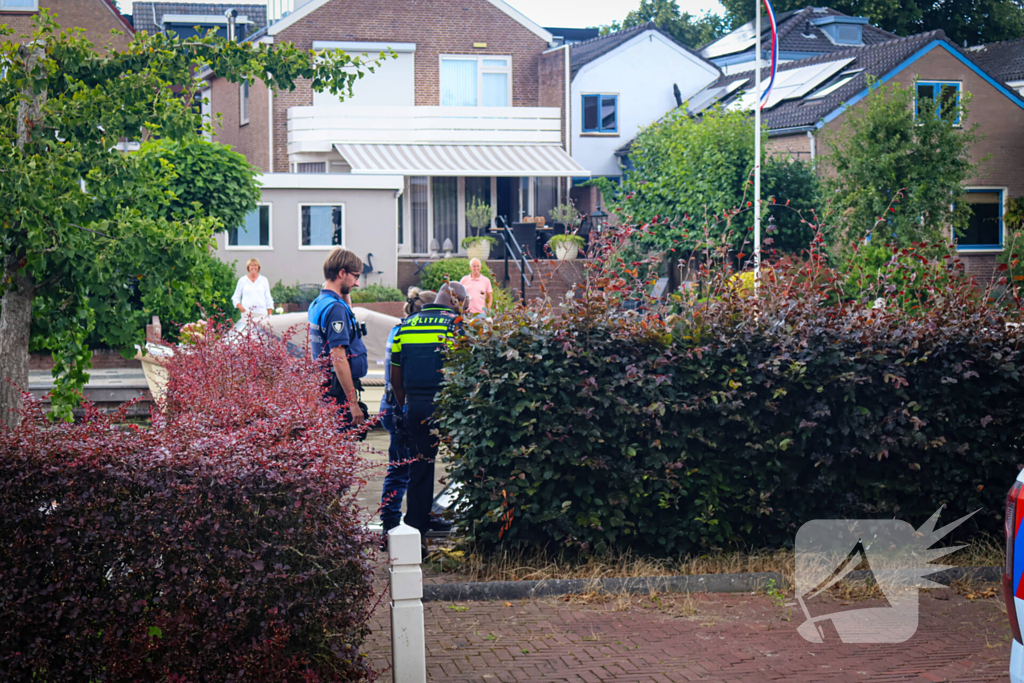 Hert gered uit de Rijn na sprongetje te water